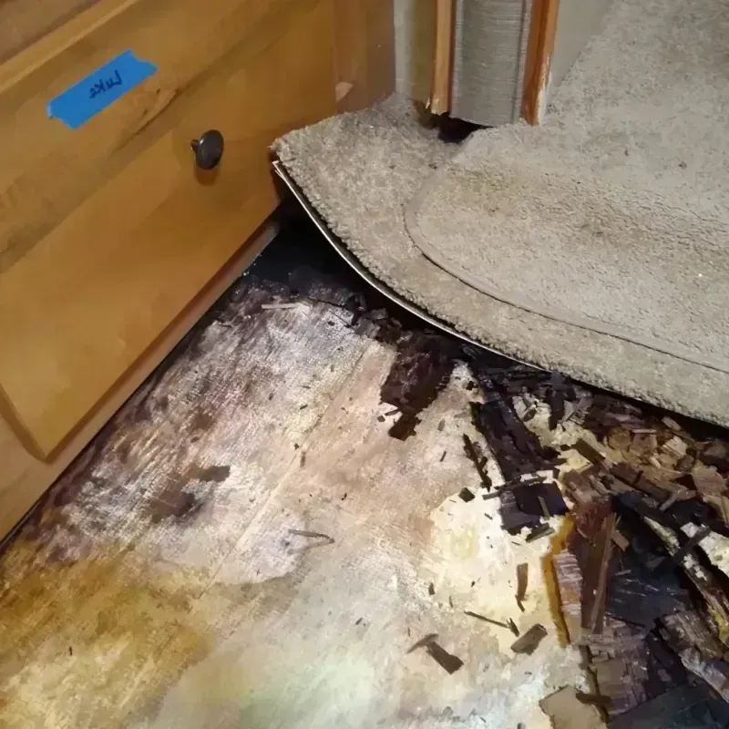 Wood Floor Water Damage in Charlotte Park, FL